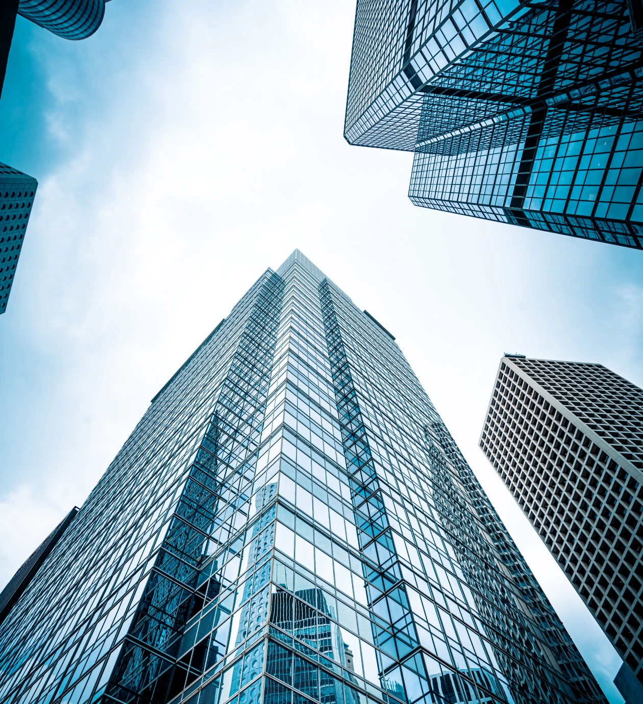 Tall modern buildings reaching up